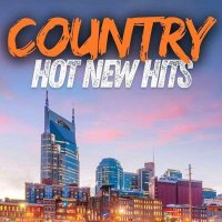 VA - Country Hot New Hits (2024) MP3