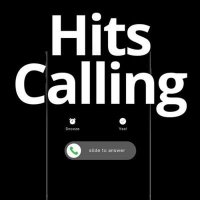 VA - Hits Calling (2024) MP3