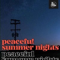 VA - Peaceful Summer Nights By The Circle Sessions (2024) MP3