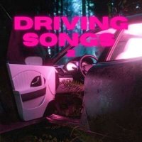VA - Driving Songs 2 (2024) MP3
