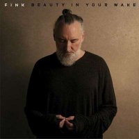 Fink - Beauty In Your Wake (2024) MP3