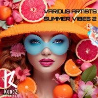VA - Summer Vibes 2 (2024) MP3