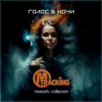 M-TracKing -    (2024) MP3