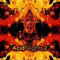 VA - Acid Nights 2 (2024) MP3