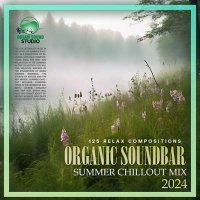 VA - Organic Soundbar (2024) MP3