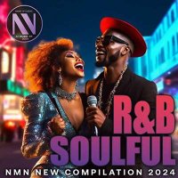 VA - RnB Soulful Collection (2024) MP3