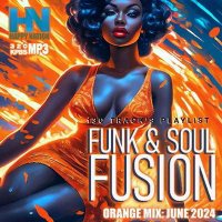 VA - Funk And Soul Fusion (2024) MP3