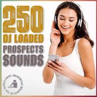 VA - 250 DJ Loaded - Prospects Sounds (2024) MP3