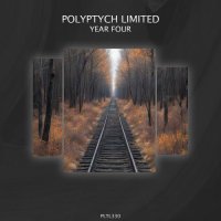 VA - Polyptych Limited: Year Four (2024) MP3