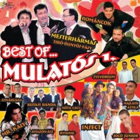 VA - Best Of Mulat&#243;s (2007) MP3