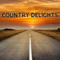 VA - Country Delights (2024) MP3