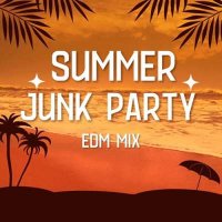 VA - Summer Junk Party EDM Mix (2024) MP3