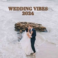 VA - Wedding Vibes (2024) MP3