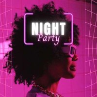 VA - Night Party (2024) MP3