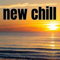 VA - New Chill (2024) MP3