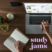 VA - study jams (2024) MP3