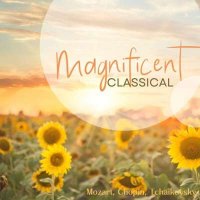 VA - Magnificent Classical (2024) MP3