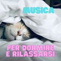 VA - Musica Per Dormire E Rilassarsi (2024) MP3