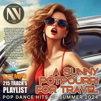 VA - A Sunny Potpourri For Travel (2024) MP3