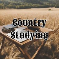 VA - Country Studying (2024) MP3