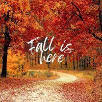 VA - Fall Is Here (2024) MP3