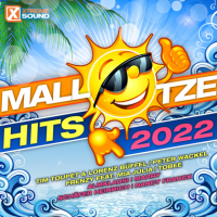 VA - Mallotze Hits 2022 (2022) MP3