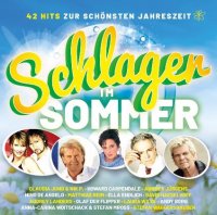 VA - Schlager im Sommer [2CD] (2022) MP3