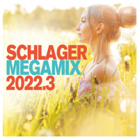 VA - Schlager Megamix 2022.[03] (2022) MP3