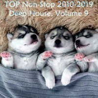 VA - TOP Non-Stop 2010-2019 - Deep House. Volume 9 (2024) MP3