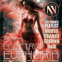 VA - Electro Euphoria (2024) MP3