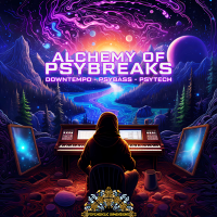 VA - Alchemy of Psybreaks (Downtempo, Psybass, Psytech) (2024) MP3