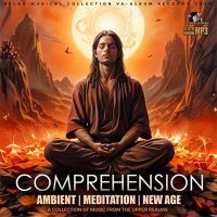 VA - Comprehension (2024) MP3