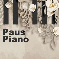 VA - Paus Piano (2024) MP3