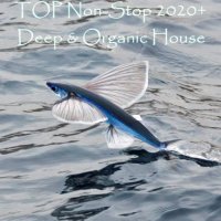 VA - TOP Non-Stop 2020+. Deep and Organic House (2024) MP3