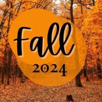 VA - Fall (2024) MP3