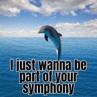 VA - I just wanna be part of your symphony (2024) MP3