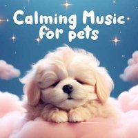 VA - Calming Music for Pets (2024) MP3