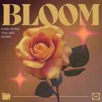 VA - Bloom Even When You Are Down (2024) MP3