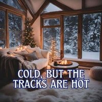 VA - cold, but the tracks are hot (2024) MP3