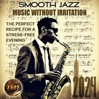 VA - Music Without Irritation (2024) MP3