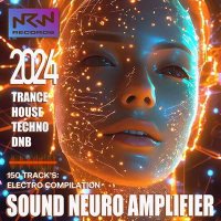 VA - Sound Neuro Amplifier (2024) MP3