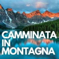 VA - Camminata In Montagna (2024) MP3