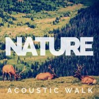 VA - Nature - Acoustic Walk (2024) MP3