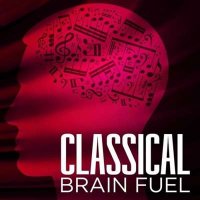 VA - Classical Brain Fuel (2024) MP3