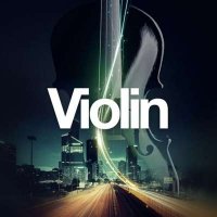 VA - Violin (2024) MP3