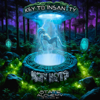 Key to Insaniity - Why Not (2024) MP3