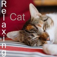 VA - Relaxing Cat (2024) MP3