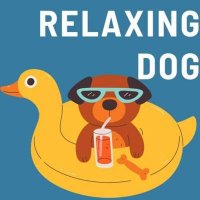 VA - Relaxing dog (2024) MP3