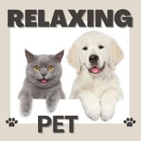 VA - Relaxing Pet (2024) MP3