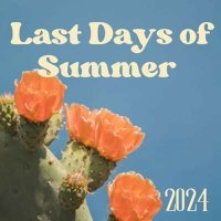 VA - Last Days of Summer (2024) MP3